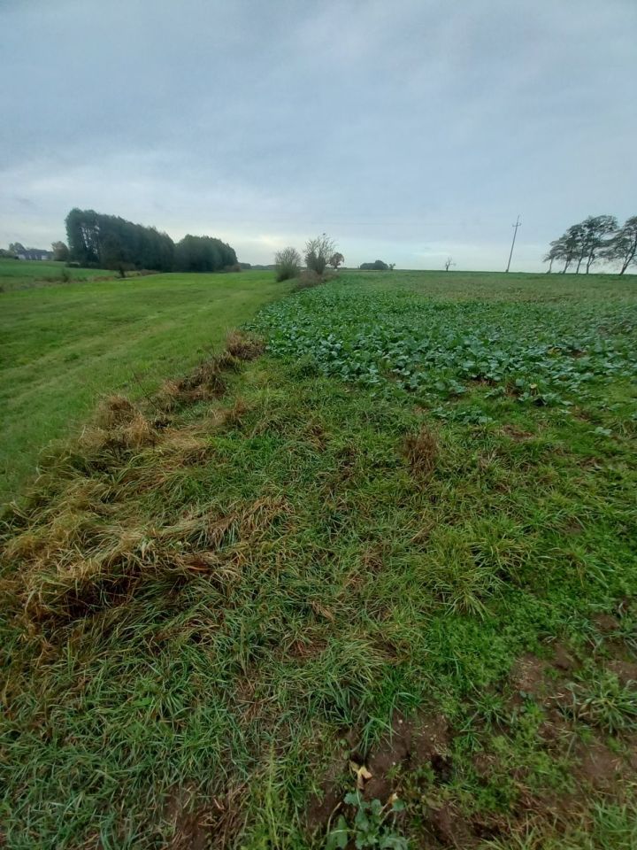 Działka inwestycyjna Żelice. Zdjęcie 7