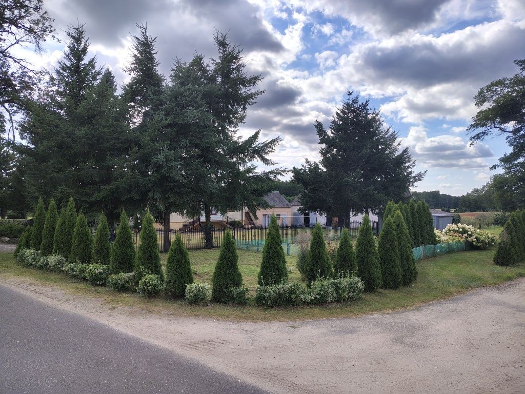 dom wolnostojący, 3 pokoje Zaryń. Zdjęcie 2