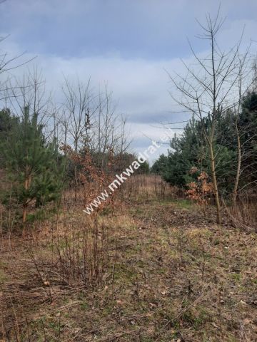 Działka budowlana Oddział. Zdjęcie 1