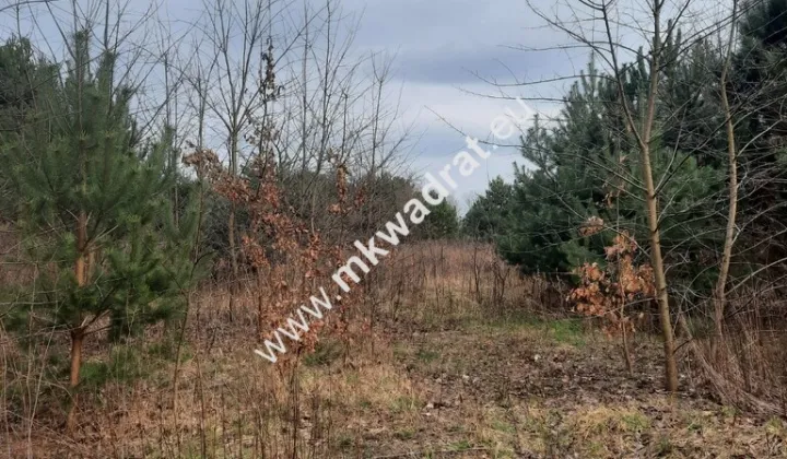 Działka budowlana Oddział