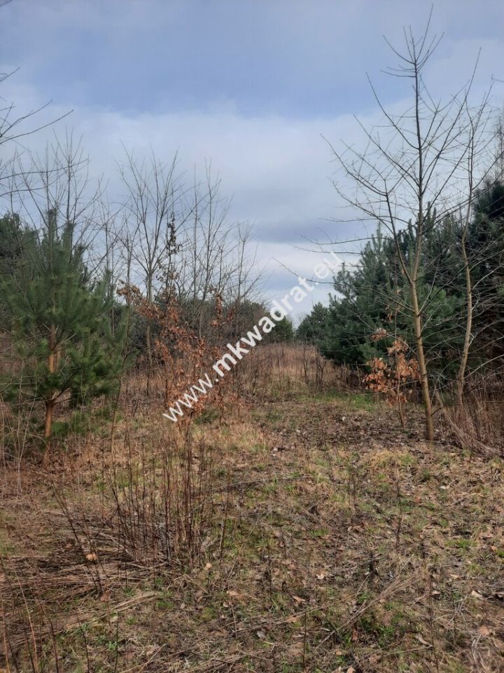 Działka budowlana Oddział. Zdjęcie 1