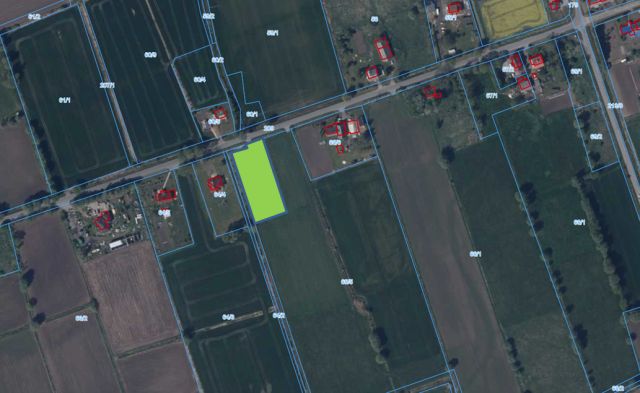 Działka budowlana Krzewsk. Zdjęcie 1