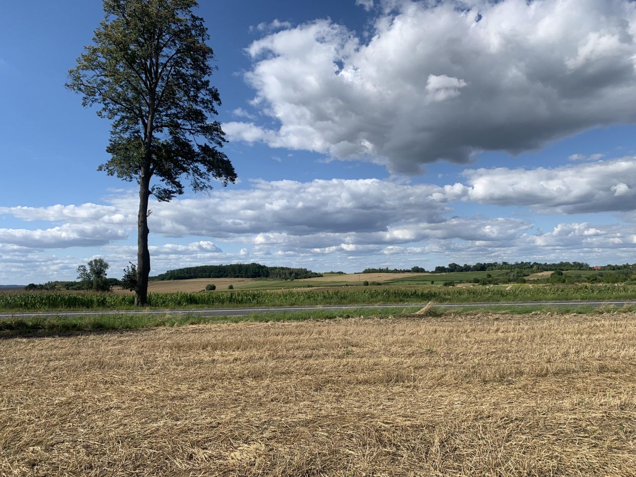 Działka budowlana Wińsko, ul. Wincentego Witosa. Zdjęcie 7