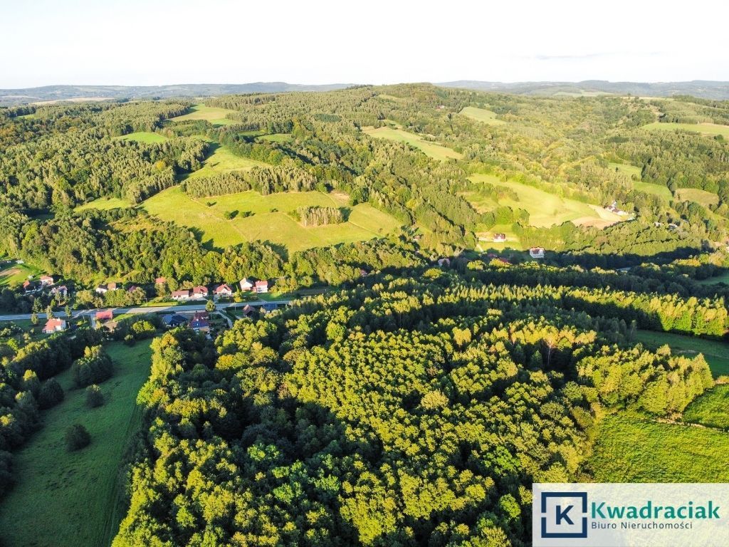 Działka rolna Lutcza. Zdjęcie 7