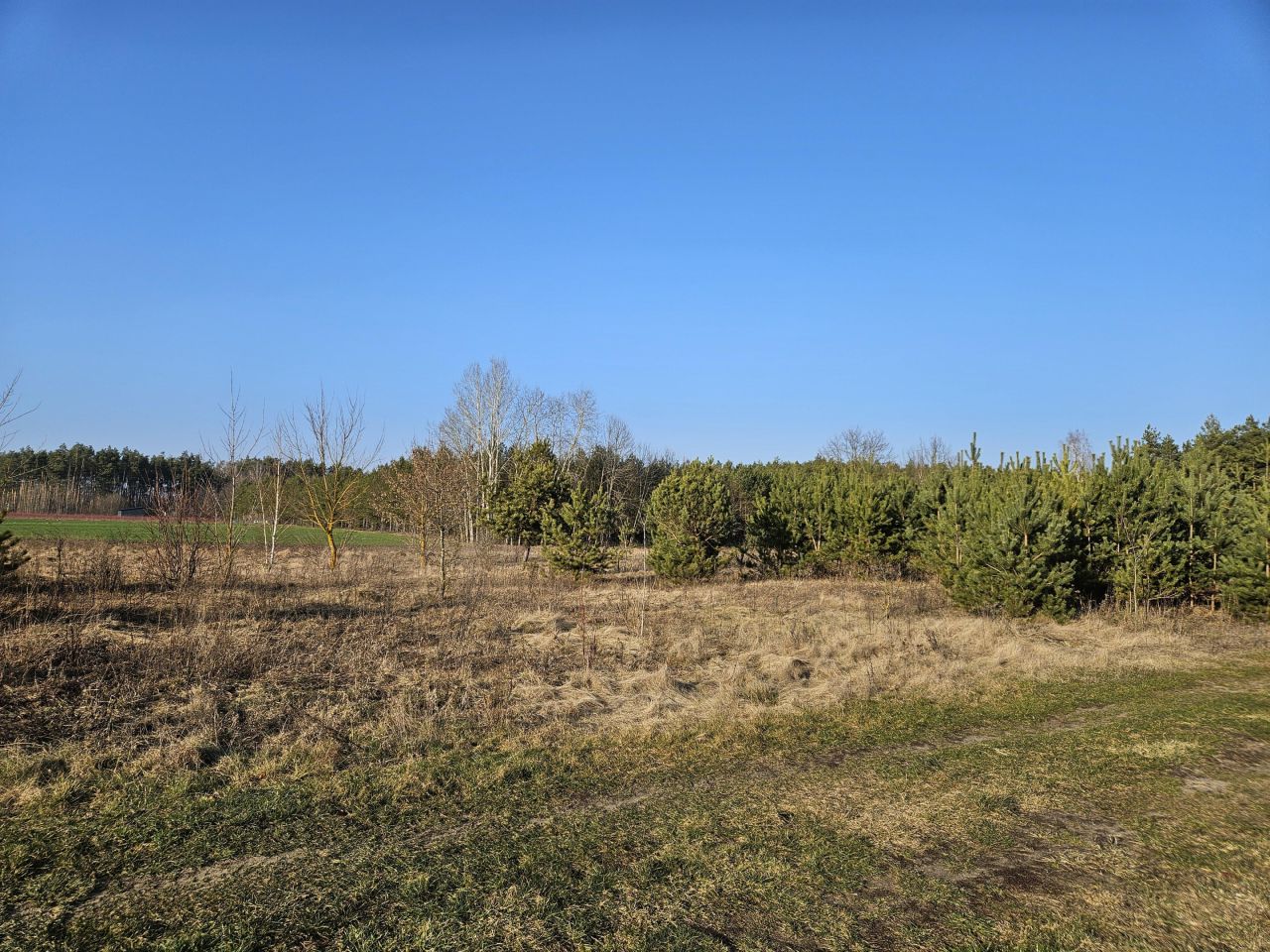 Działka rekreacyjna Stary Strachocin. Zdjęcie 2