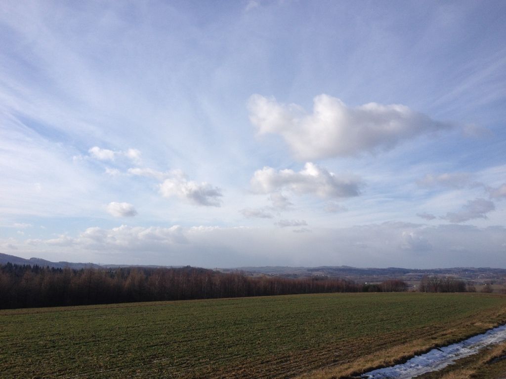 Działka rolno-budowlana Grudna Górna. Zdjęcie 3