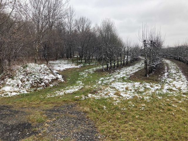 Działka inwestycyjna Tarnów, ul. Klikowska. Zdjęcie 1