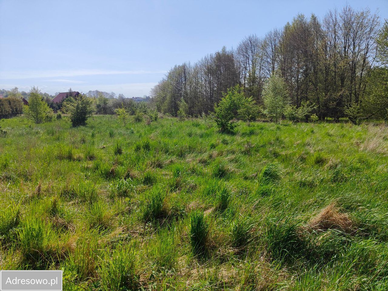 Działka budowlana Rusinowo. Zdjęcie 9