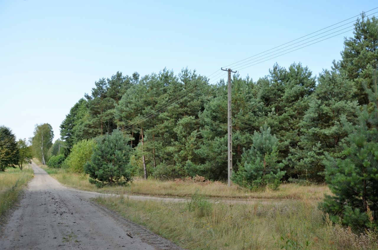 Działka siedliskowa Wrzeszczyna. Zdjęcie 4