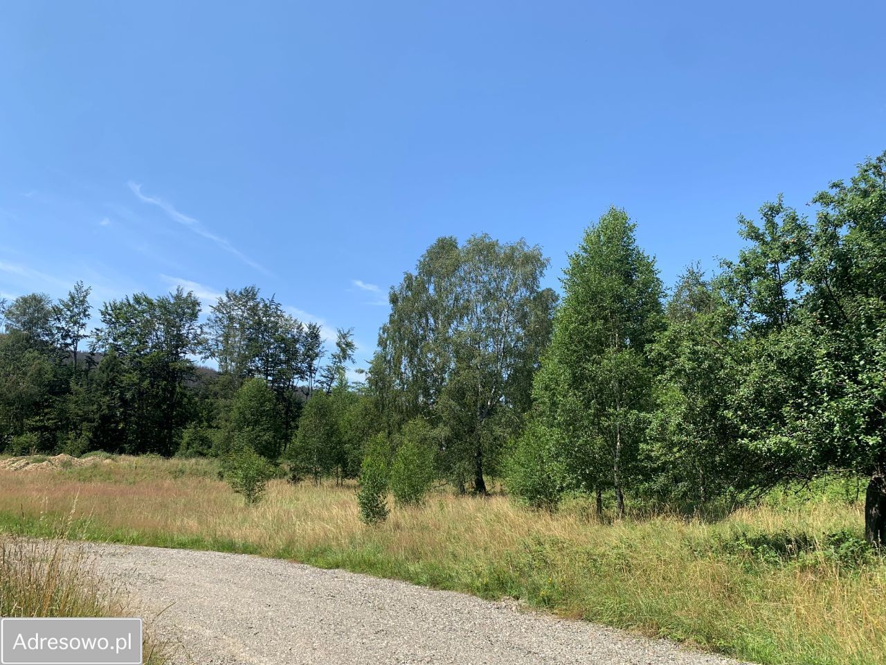 Działka budowlana Studzienno. Zdjęcie 3