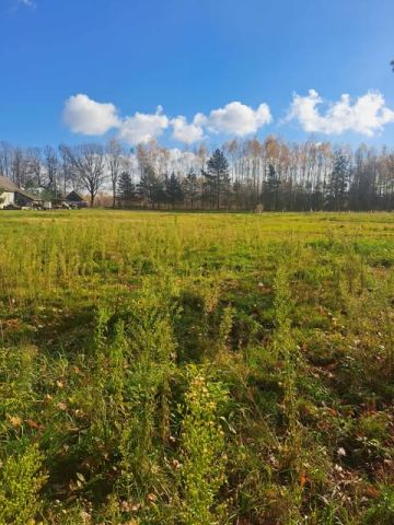 Działka rolno-budowlana Cmolas Dąbrówka. Zdjęcie 3