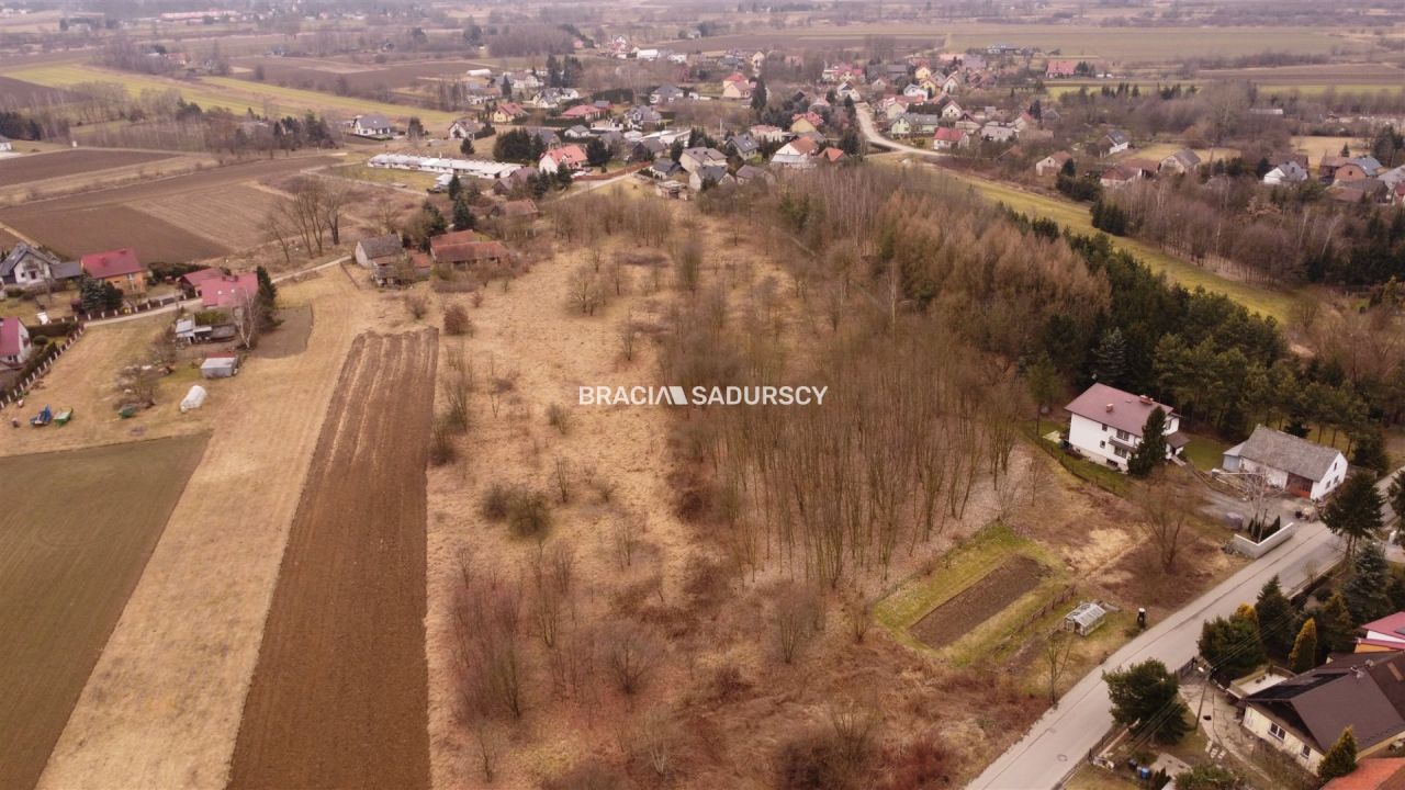 Działka rolno-budowlana Wołowice. Zdjęcie 4