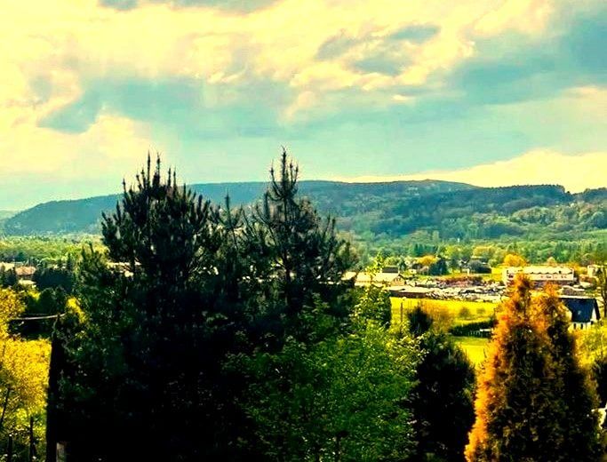 bliźniak, 5 pokoi Nowy Sącz. Zdjęcie 16