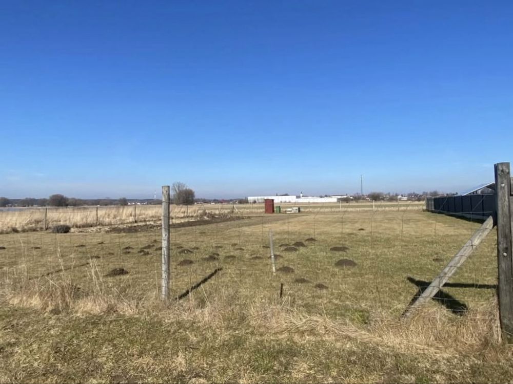 Działka budowlana Bralin, ul. Pszeniczna. Zdjęcie 2