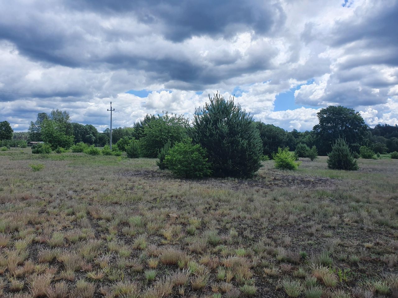 Działka budowlana Kępa Niemojewska. Zdjęcie 17