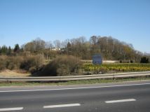 Działka rolna Zarzecze. Zdjęcie 4