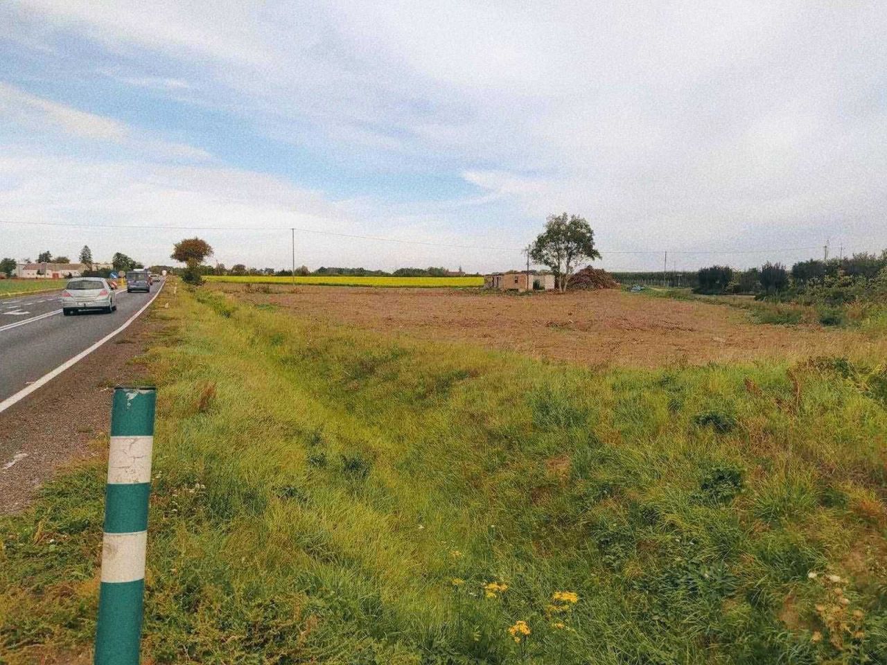 Działka rolno-budowlana Tryszczyn. Zdjęcie 6