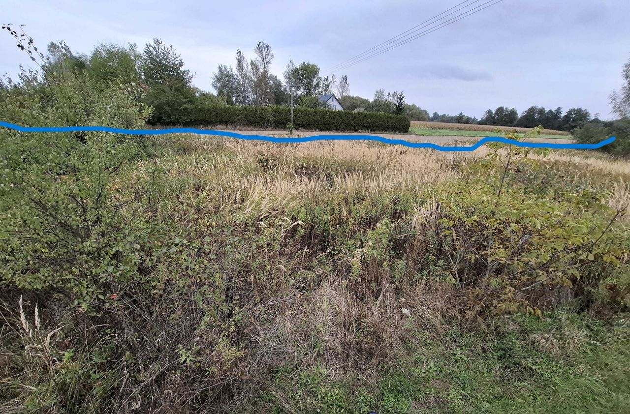 Działka siedliskowa Minkowice-Kolonia. Zdjęcie 6