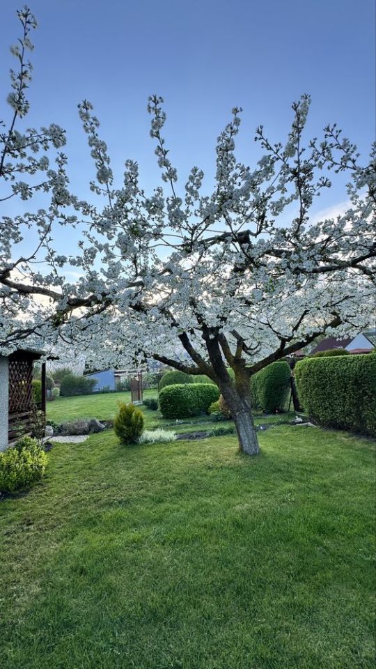 Działka rod Grudziądz. Zdjęcie 7