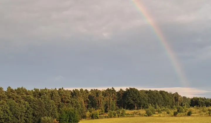 Działka rolno-budowlana Niedary, ul. Spacerowa