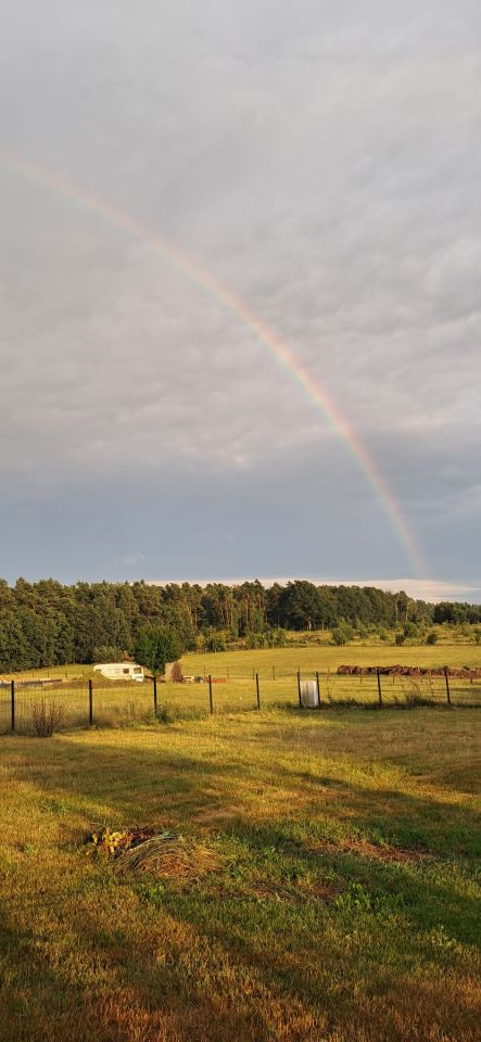 Działka rolno-budowlana Niedary, ul. Spacerowa. Zdjęcie 1