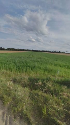 Działka rolna Grobia. Zdjęcie 1