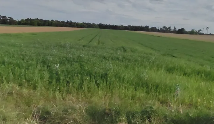 Działka rolna Grobia
