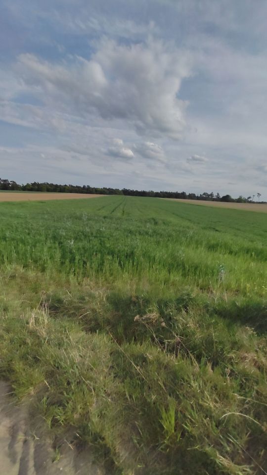 Działka rolna Grobia. Zdjęcie 1