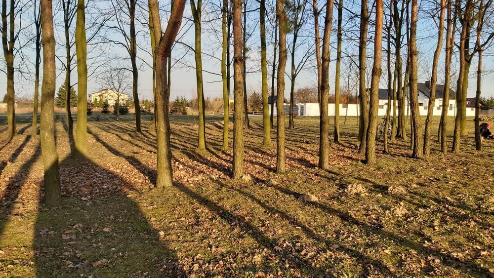 Działka Radom Kierzków. Zdjęcie 2