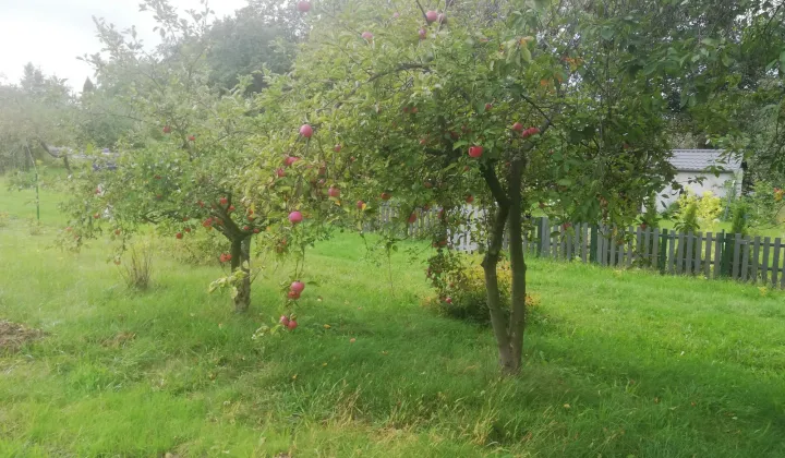 Działka rod Bolesławiec Centrum, ul. Tadeusza Kościuszki