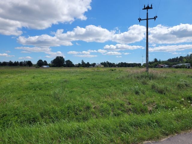 Działka budowlana Psucin, ul. Leśna. Zdjęcie 3