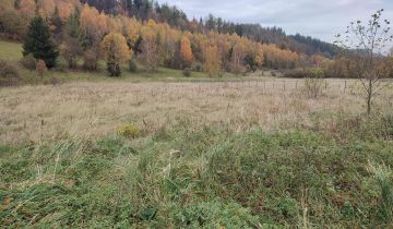 Działka budowlana Kamienna