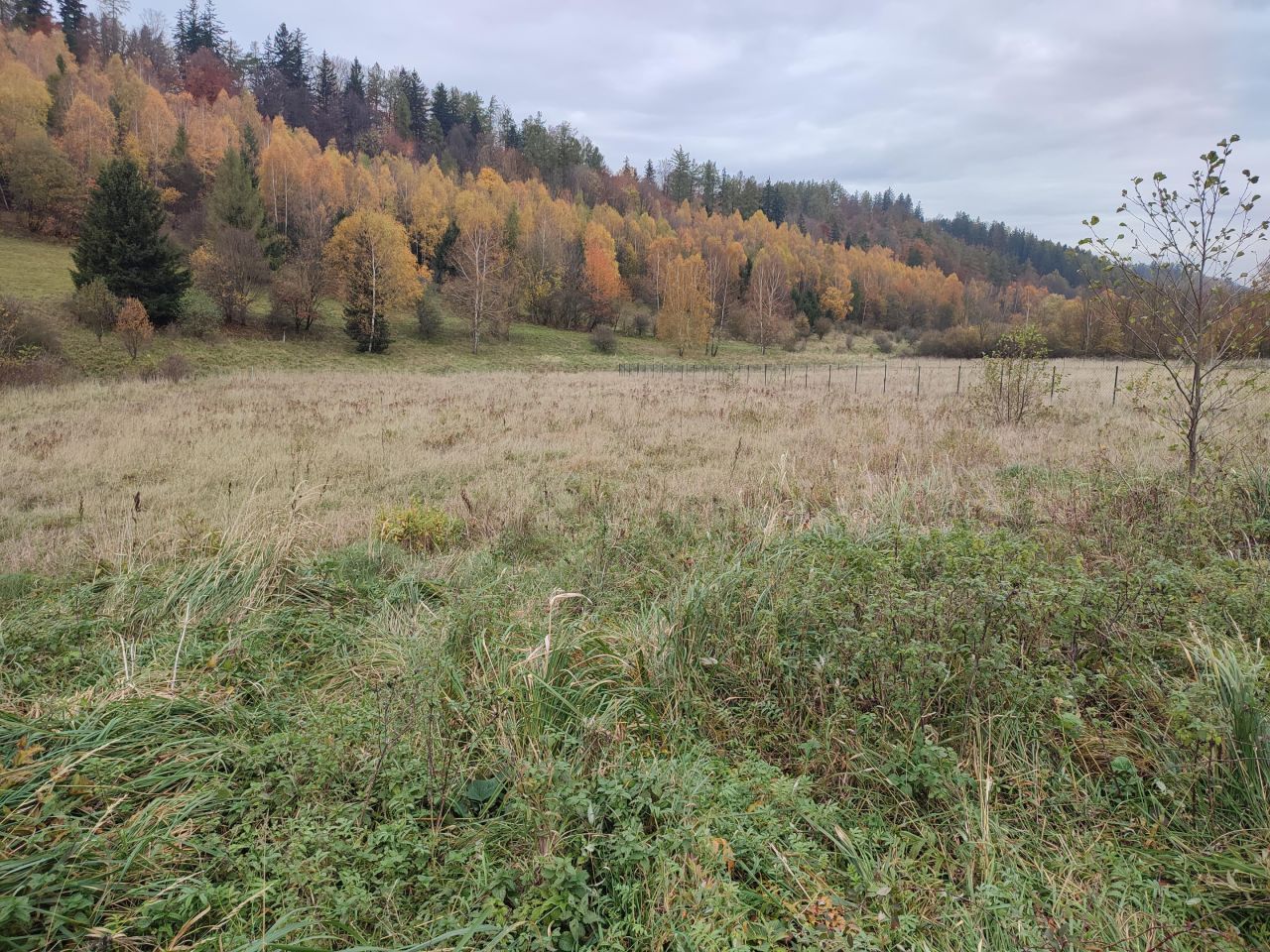 Działka budowlana Kamienna. Zdjęcie 2