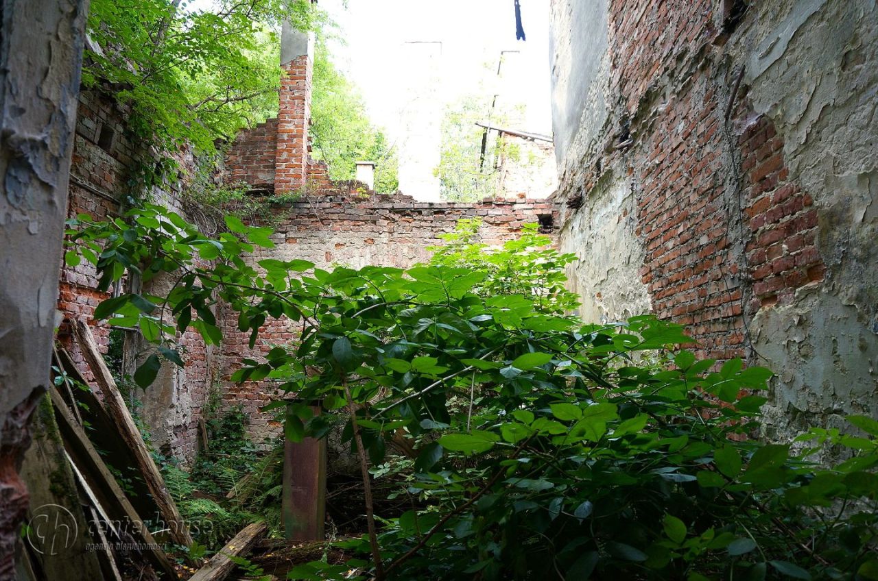 dworek Dąbrowica. Zdjęcie 3