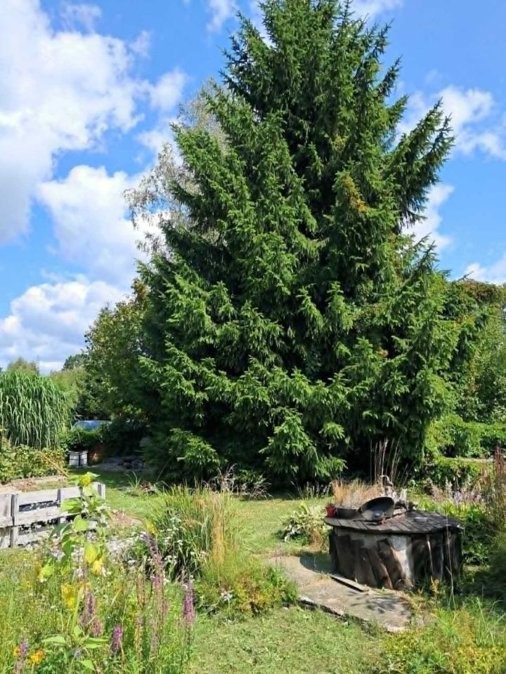 Działka rod Olsztyn Zatorze. Zdjęcie 2