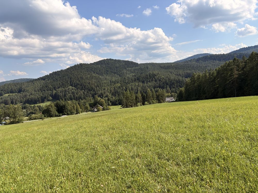 Działka rolno-budowlana Florynka. Zdjęcie 2