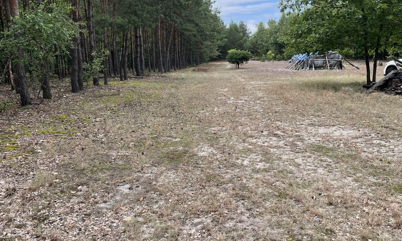 Działka budowlana Gościencin. Zdjęcie 4