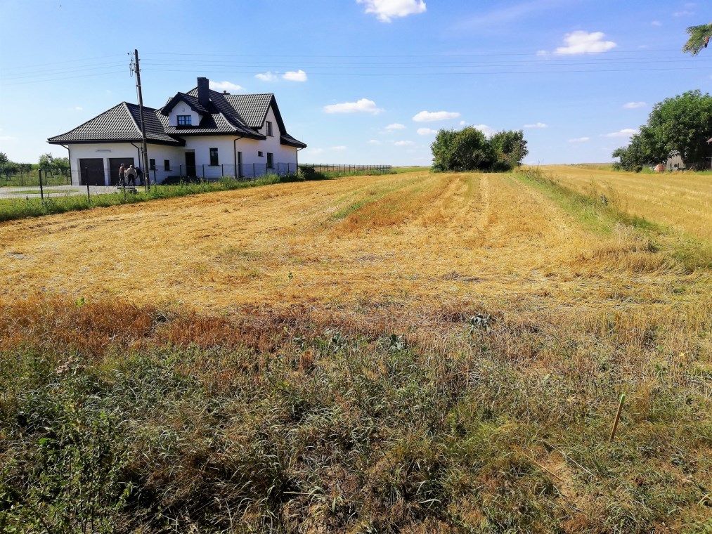 Działka budowlana Wola Piasecka. Zdjęcie 4