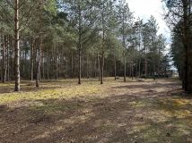 Działka rekreacyjna Szczawin. Zdjęcie 1