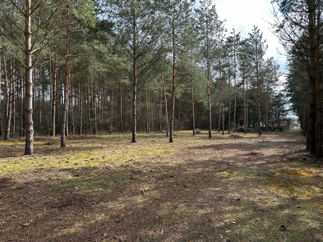 Działka rekreacyjna Szczawin. Zdjęcie 2