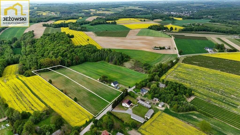 Działka rolno-budowlana Stanisławka. Zdjęcie 6