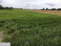 Działka rolna Niegoszcz. Zdjęcie 4