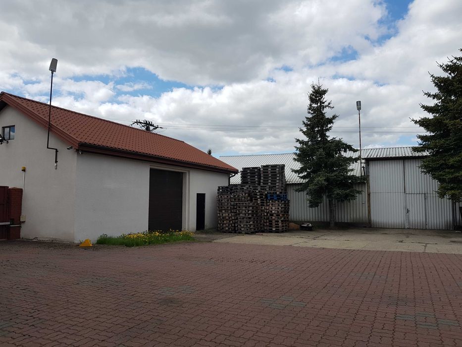 Hala/magazyn Kałuszyn, ul. Warszawska. Zdjęcie 7