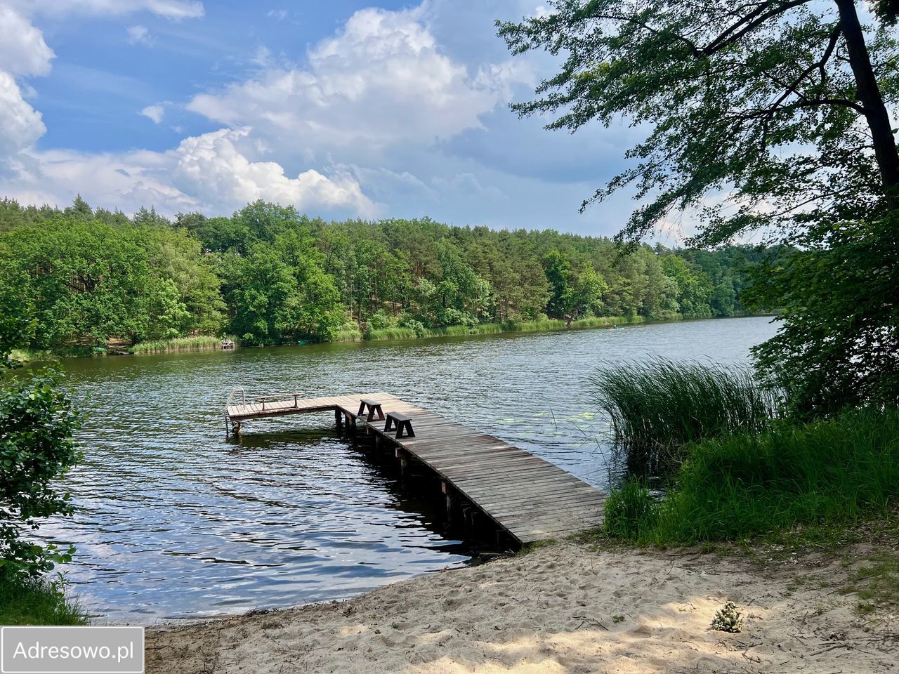 Działka budowlana Kuźnica Głogowska Głuchów. Zdjęcie 4