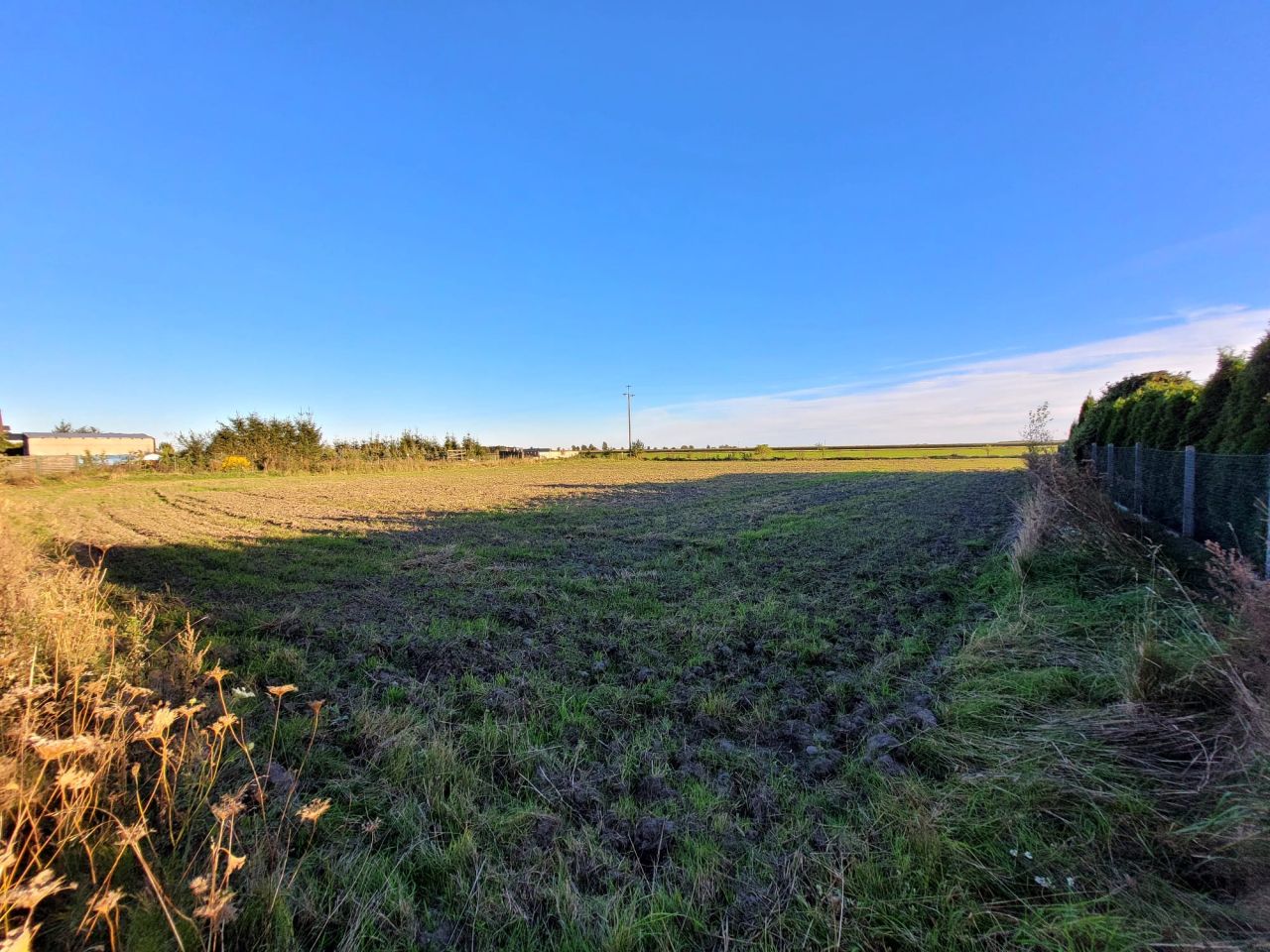 Działka budowlana Dzierzążenko. Zdjęcie 10