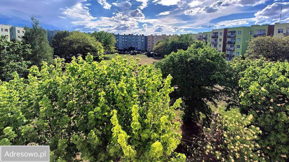 Mieszkanie 3-pokojowe Świdnica, ul. Emilii Plater. Zdjęcie 11