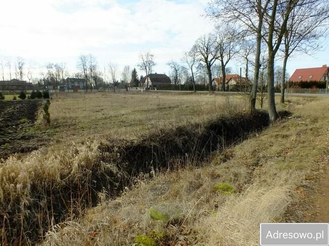 Działka rolna Orłowo. Zdjęcie 3