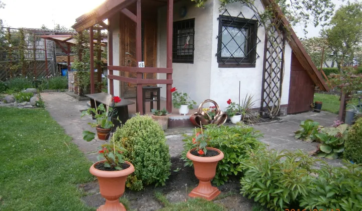 Działka rod Piła Koszyce, ul. Paderewskiego