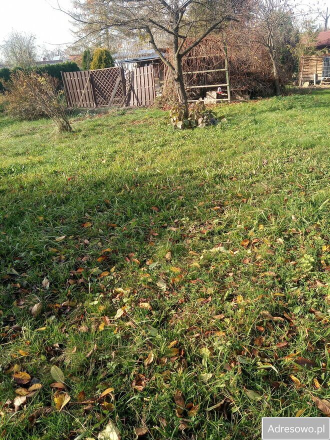 Działka rod Prudnik. Zdjęcie 3