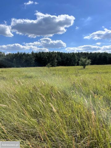 Działka budowlana Wilkowyja. Zdjęcie 1